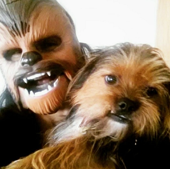 Meet your Posher, Laura - Picture 1 of 1